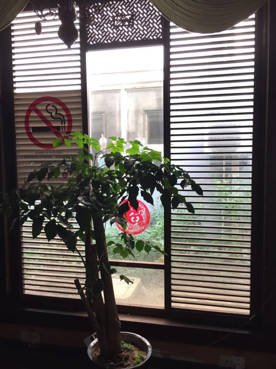 Shanghai City Central Hotel 上海 外观 照片